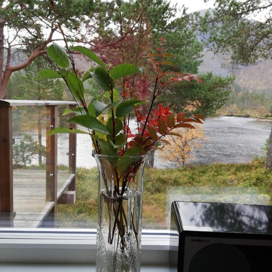 Hytte Ved Gaularfjellet Viksdalen Bagian luar foto